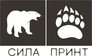 Сила Принт